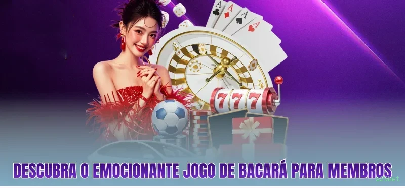 Plataforma s29bet - cassino e apostas
